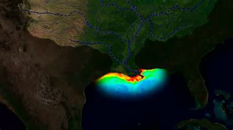 This Years Gulf Of Mexico Dead Zone Forecast Larger Than