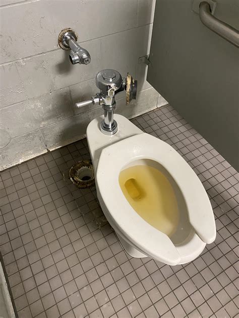 Some Asshole Took A Piss In The Toilet I Pulled When I Went To Grab