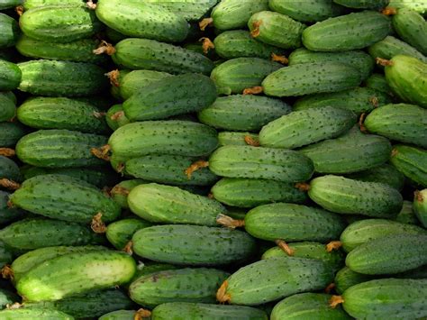 Wallpaper Food Vegetables Fruit Green Cucumbers