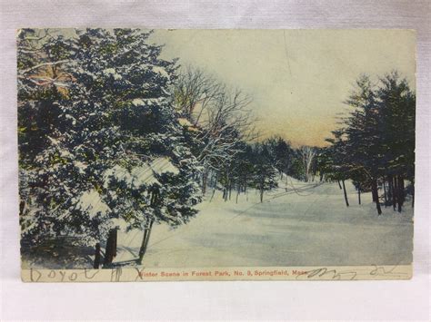 Vintage Postcard Winter Scene In Forest Park Springfield Massachusetts