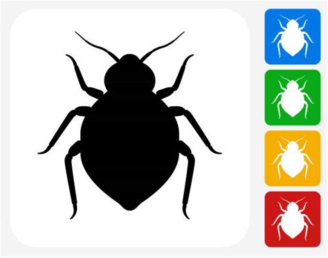 Bed Bug Illustrations Royalty Free Vector Graphics And Clip