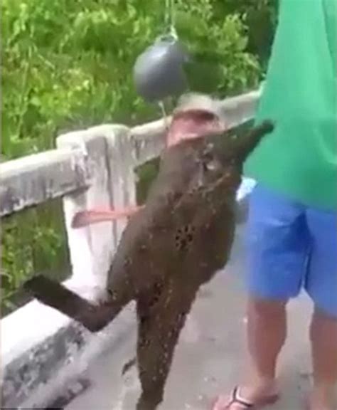 Viral Video Bizarre Fish With Legs Confuses Thai Fishermen In Eerie