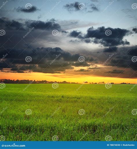 Sunset Sky And Meadow Stock Photo Image Of Sunset Weather 78874030