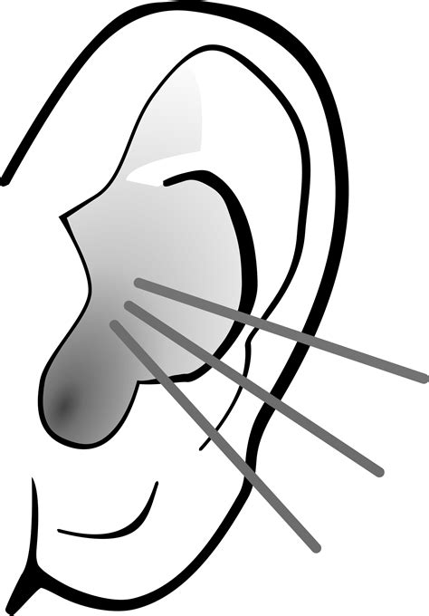 Ear Listening PNG HD Transparent Ear Listening HD PNG Images PlusPNG