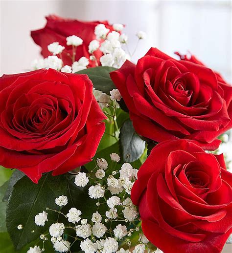 A Premium 18 Stem Red Roses Arranged By A Florist In Yonkers Ny