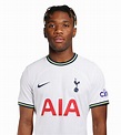 Destiny Udogie profile, statistics and news | Tottenham Hotspur