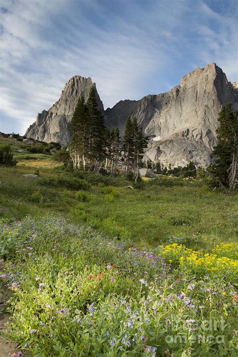 Wildflowers And Cirque Of The Towers Photograph By Mike Cavaroc