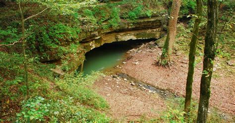 The Best Trails And Outdoor Activities In Mammoth Cave National Park