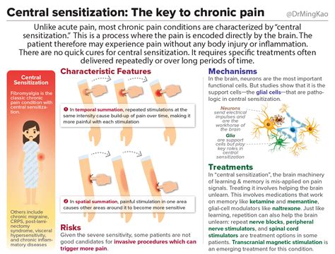 Central Sensitization The Key To Chronic Pain By Dr Ming Kao
