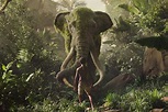 Mowgli: Legend of the Jungle, A Powerfully Poignant Adaptation