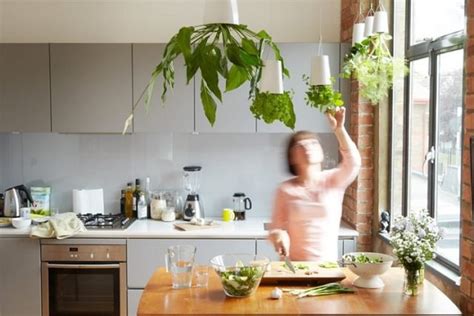 Stupendous Indoor Herb Gardens That You Can Easily Make On Your Own