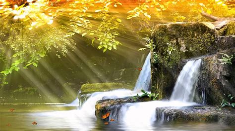 Moving Waterfalls Wallpaper