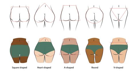 Butt Shapes And How To Protect Them Naturally Wama Underwear