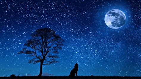 Download Howling Moon Tree Star Starry Sky Night Silhouette Animal Wolf
