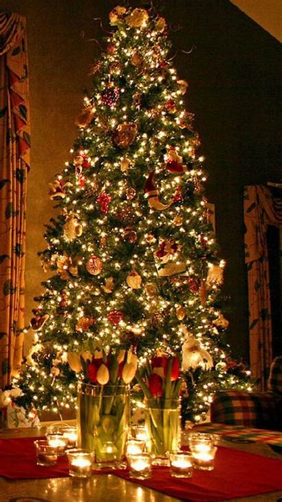 Iphone Tree Wallpapers Holiday Lights Merry Px