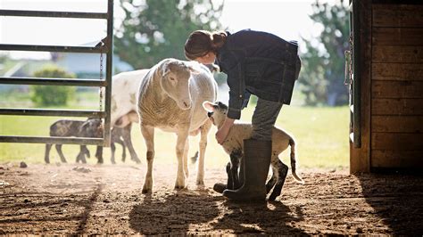 Local Farm Tours in Georgia | Georgia Grown Agritourism