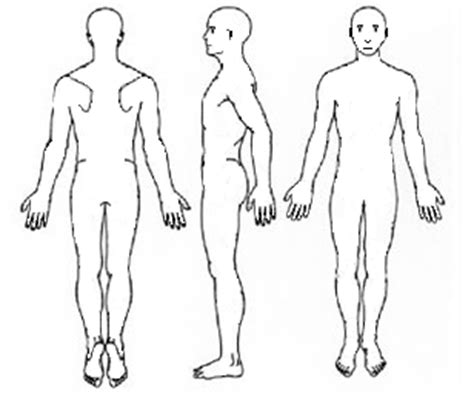 Blank Printable Anatomical Position Portal Tutorials