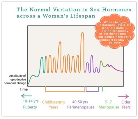 What Is Perimenopause Women S Health Network