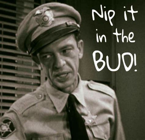 Don Knotts The Andy Griffith Show