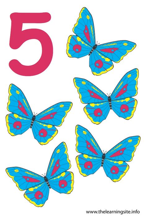 Number Five Flashcard 5 Butterflies The Learning Site