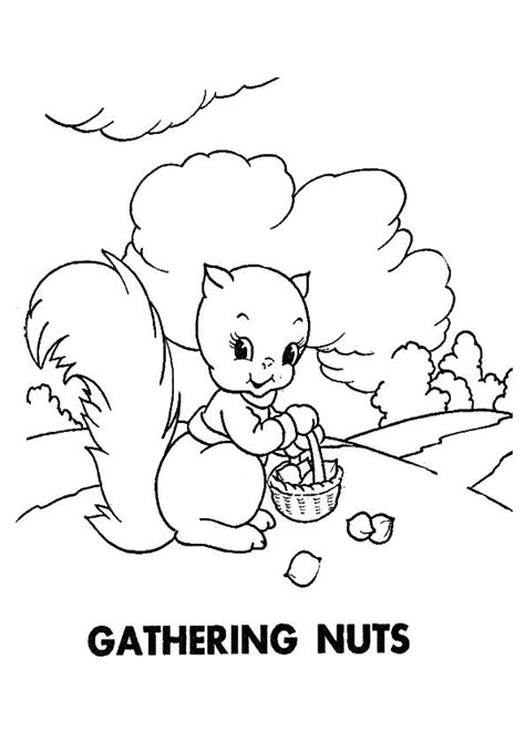 printable squirrel coloring pages squirrel coloring pictures  preschoolers kids
