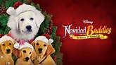 Ver Navidad con los Buddies: En busca de Santa Can | Película completa ...