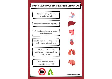 Wpływ Alkoholu Na Organizm Człowieka Infografika Złoty Nauczyciel