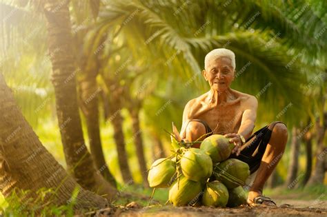 Premium Photo Old Man Collecting Coconut In Coconut Farm In Thailand