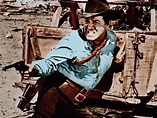 Return of the Gunfighter (1967) - Turner Classic Movies