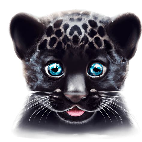 Black Jaguar Drawing