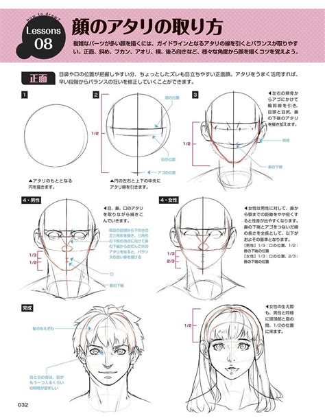 Proportions Head Anatomy Tutorial Anime Tutorial Cartoon Tutorial