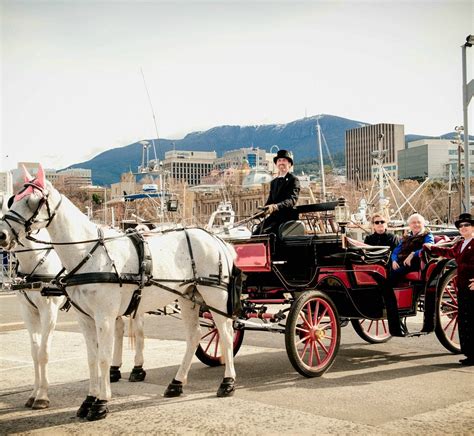 Heritage Horse Drawn Carriages Hobart 2022 Ce Quil Faut Savoir