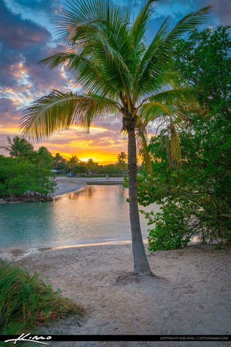 Coconut Tree Sunset Dubois Lagoon Hdr Photography By Captain Kimo