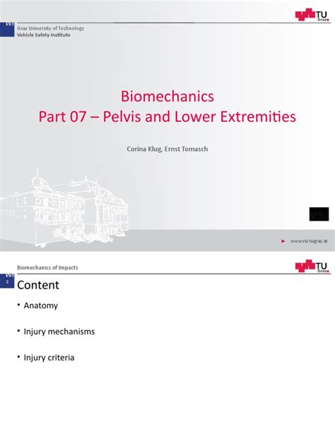 07 Biomechanics Pelvis And Lower Extremities 2019 En Pdf Ankle Pelvis