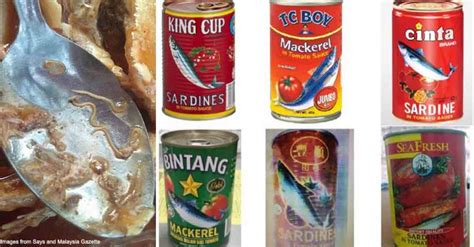 Cacing Found In 8 Different Sardine Brands Heres How They Ended Up There In The First Place