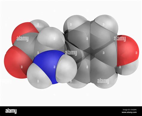 Amino Acids Hi Res Stock Photography And Images Alamy