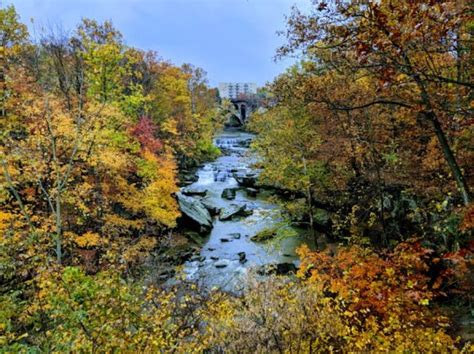 Berea Falls A Cleveland Waterfall Is Gorgeous In The Fall