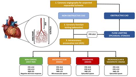 Invasive Functional Coronary Assessment In Myocardial Ischemia With Non