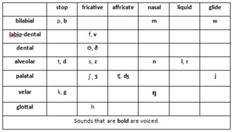 Phonetics Consonants Mannerplace Flashcards Quizlet