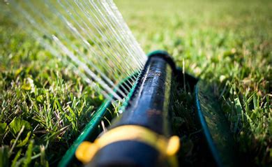 We did not find results for: How to Best Water your Lawn | My Green Australia