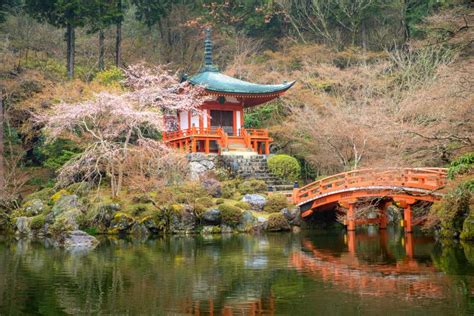 Beautiful Japanese Garden At Daigo Ji Temple With Cherry Blossom During