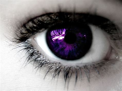 Royal Purple Eyes Violet Eyes Aesthetic Eyes Eye Color Change