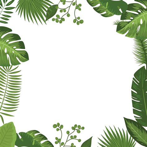 Palm Leaves Tropical Frame Th Birthday Themes Moana Birthday Party Green Grass Background
