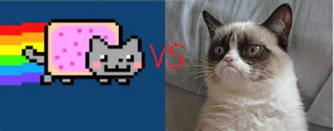 Nyan Cat Vs Grumpy Cat Battle Pictures Nr1