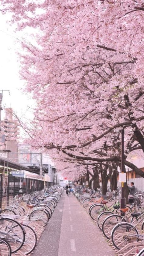 Aesthetic japan japanese aesthetic city aesthetic film photography street photography photography aesthetic photografy art photographie portrait inspiration japan street. Lockscreens 💕| Pink Japan aesthetic lockscreens Reblog or like...