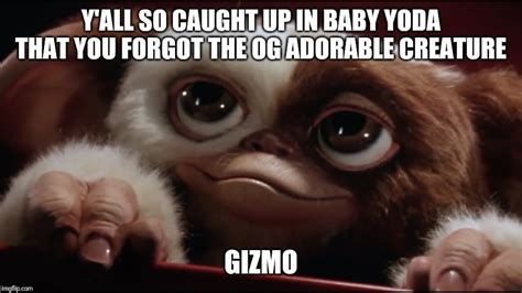 Gizmo Gremlins Meme