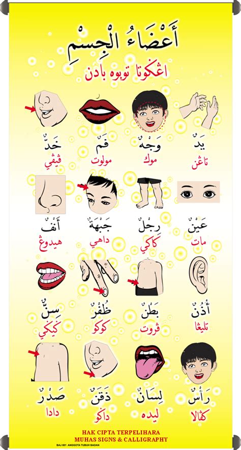 Bahasa arab anggota tubuh (lagu). MUHAS SIGNS : BUNTING PANITIA BAHASA ARAB (UNIT j-QAF)