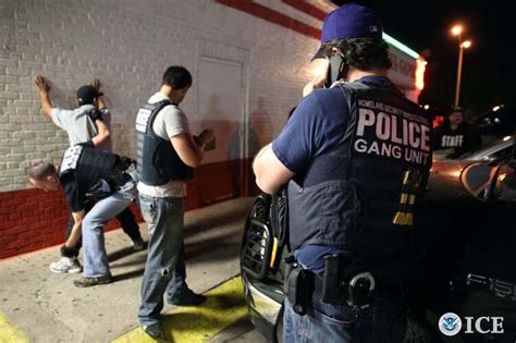 Hsi Arrests 638 Gang Members During Month Long Operation Ice