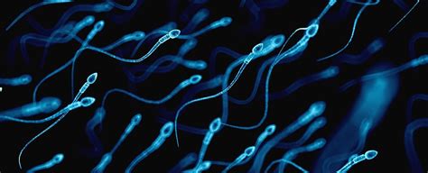 You Can Now Check How Healthy Your Sperm Is Using Your Smartphone