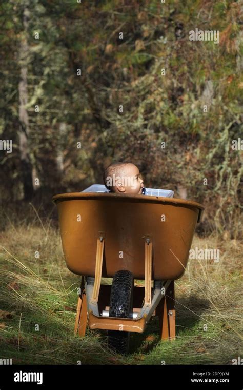 Girl Sitting In Wheelbarrow Hi Res Stock Photography And Images Alamy